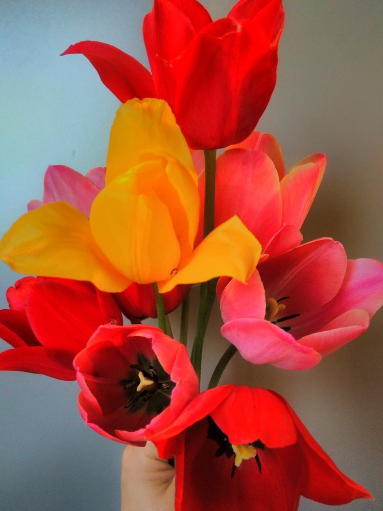 Photograph by Yana Marinova