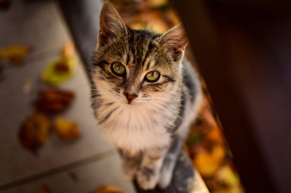 Photograph by Анастасия Донская