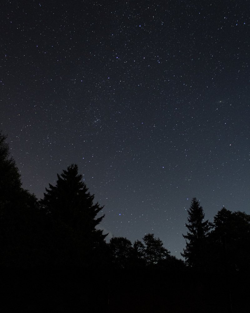 Photograph by Антон Синица