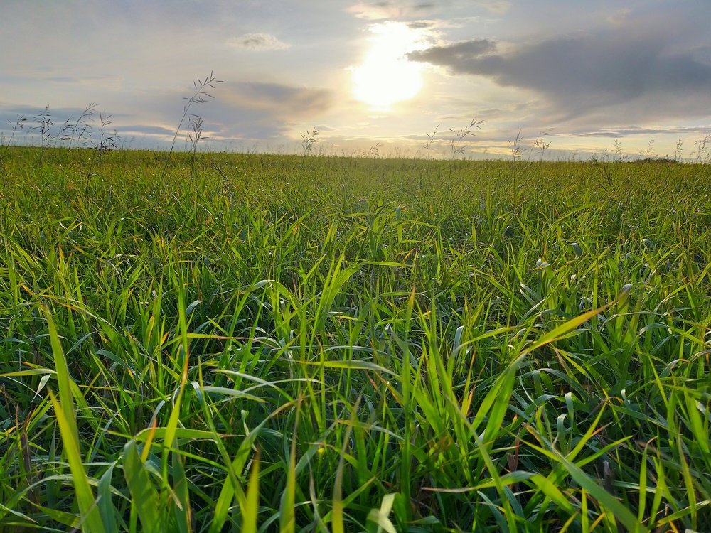 Photograph by Оксана Макарова