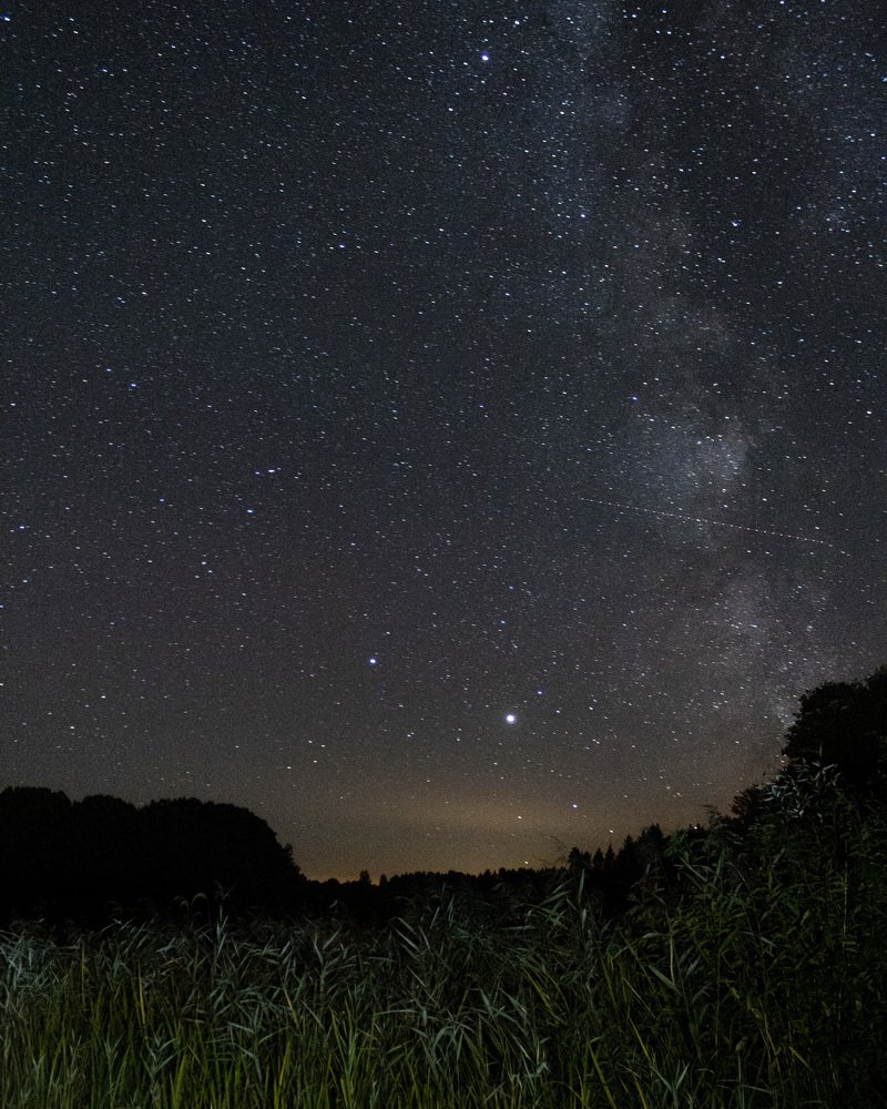 Photograph by Антон Синица