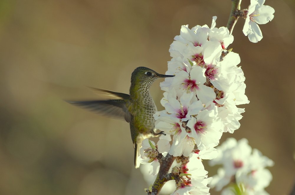Photograph by Claudio Rojas