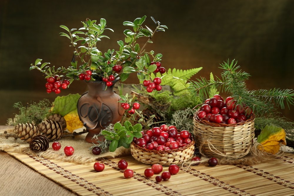 Photograph by Шруб (Беляева) Татьяна