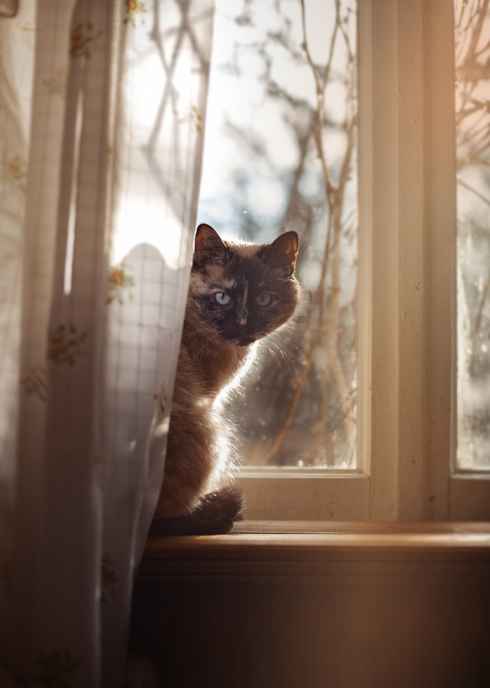 Photograph by Екатерина Морозова