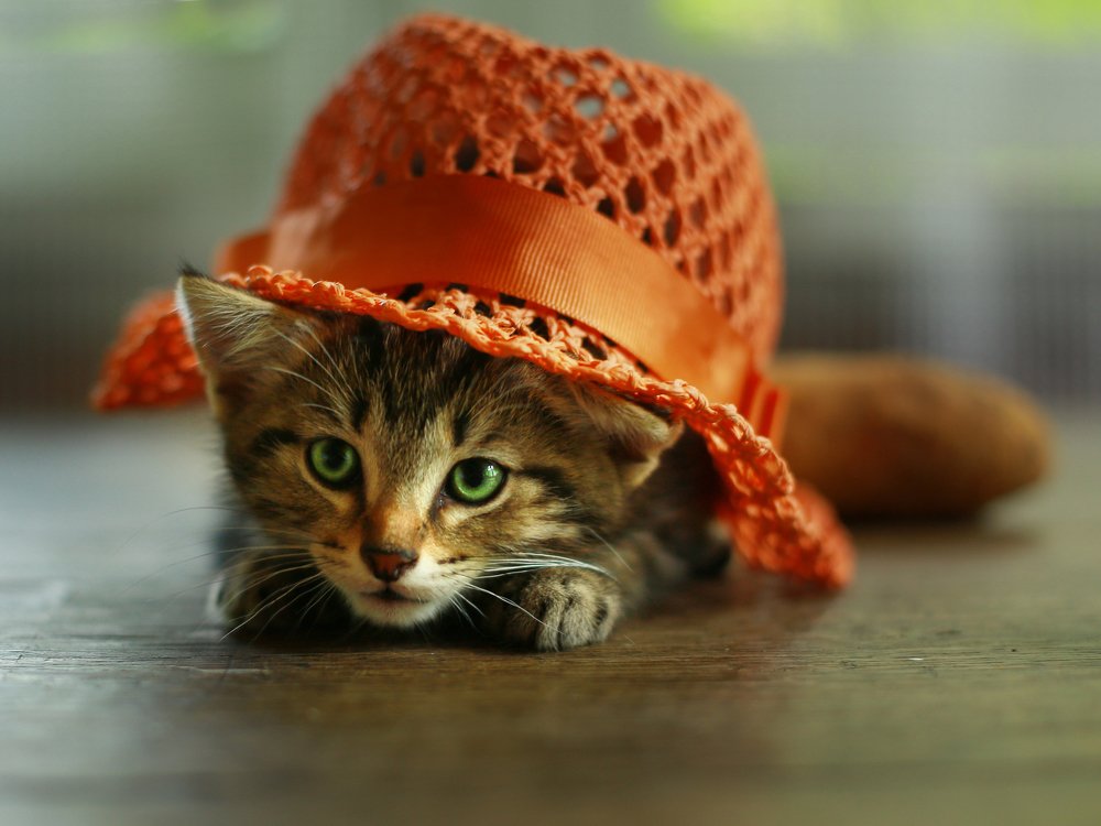 Photograph by Екатерина Морозова