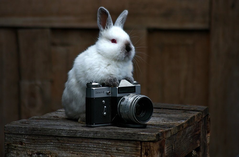 Photograph by Анатолий Святой