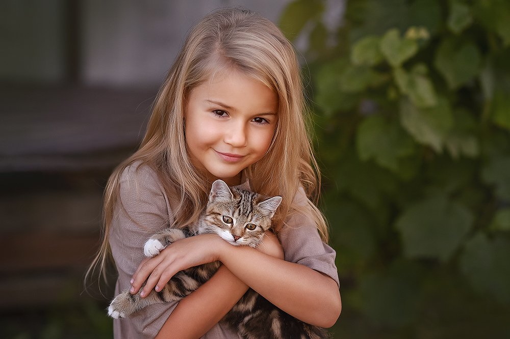 Мой котёнок