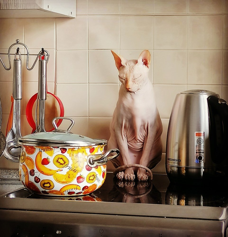 Photograph by Юлия Гагарина