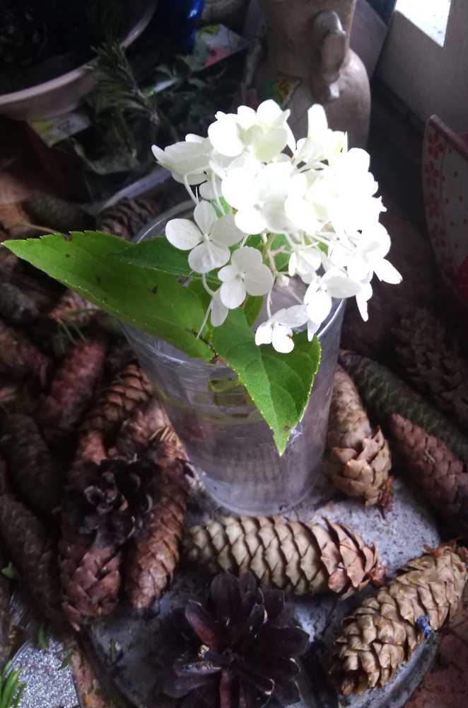 Photograph by Елена Малкова