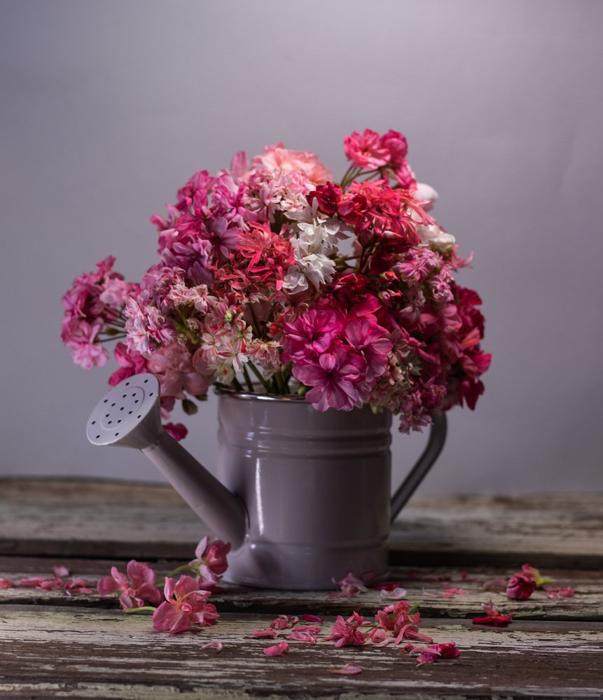 Photograph by Александр Арефьев