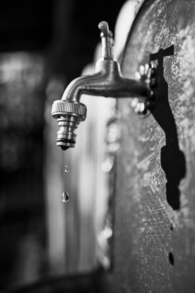 Фотография автора Josef Nový