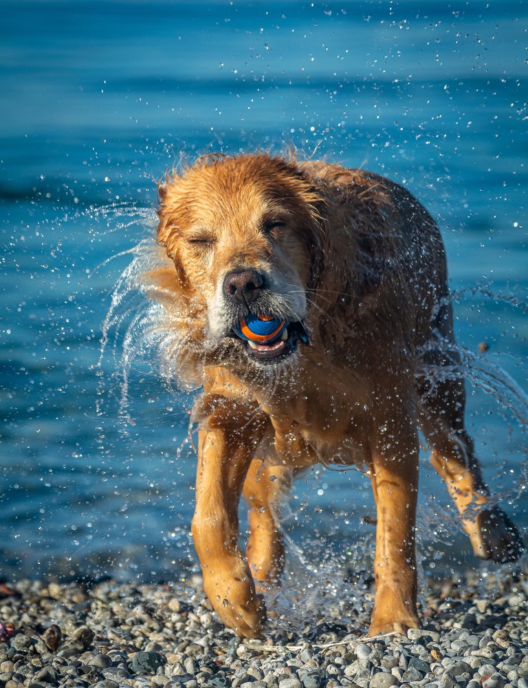 Photograph by Koel Das