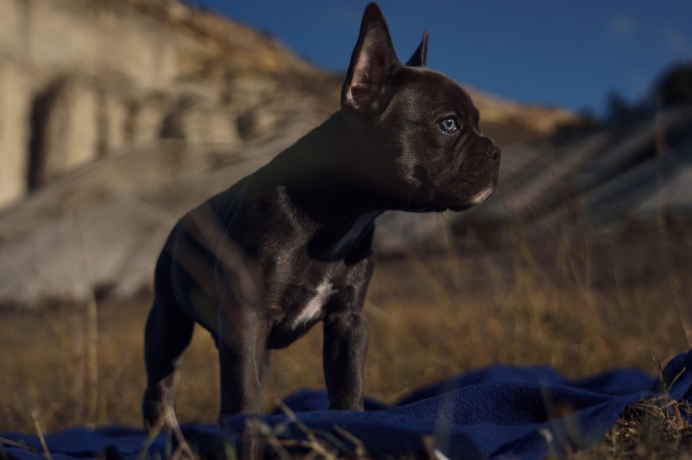 Photograph by Андрей Облап