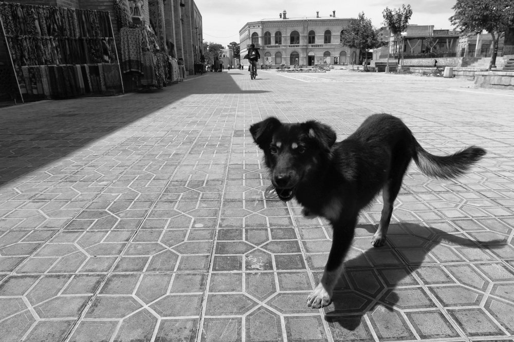 Photograph by Behzod Boltaev