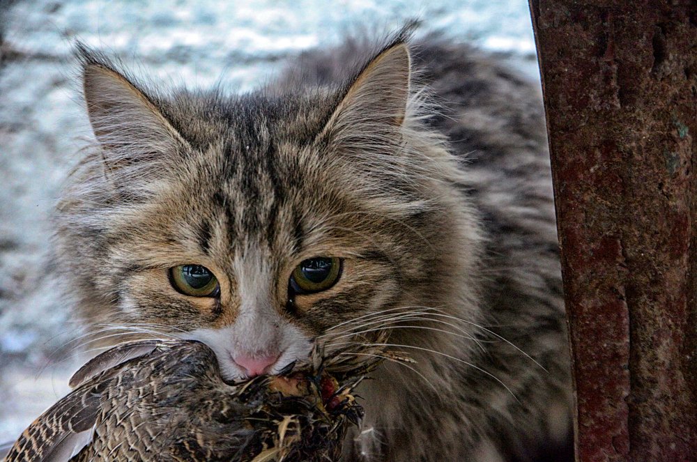 Photograph by Behzod Boltaev