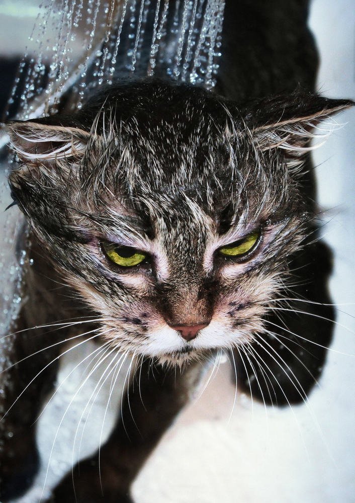 Photograph by ЗОЯ МЕДВЕДЕВА