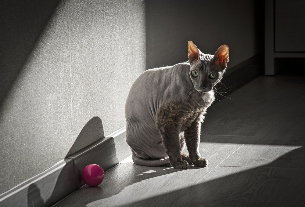 35 оттенков серого и немного розового