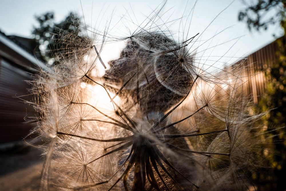 Photograph by Анна Силютина