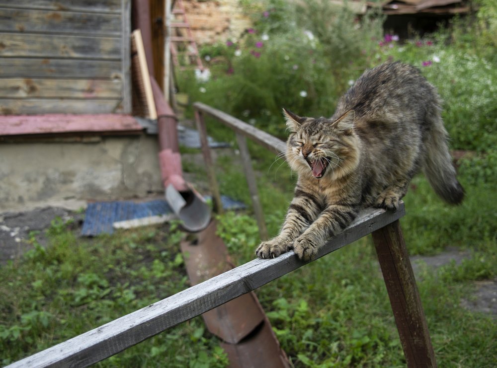 Доброе утро!