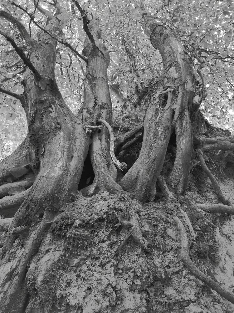 Photograph by Małgorzata Szymańska
