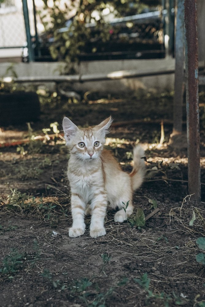 Photograph by ольга