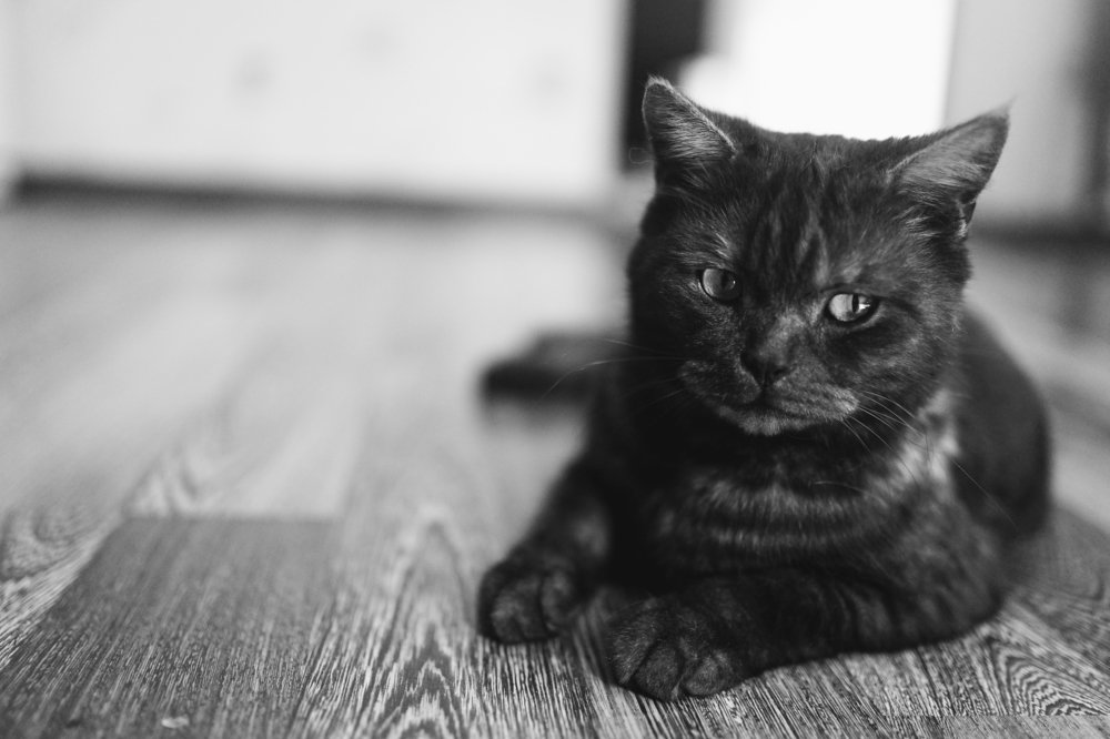 Photograph by ольга