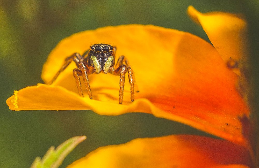 Photograph by Олеся zme