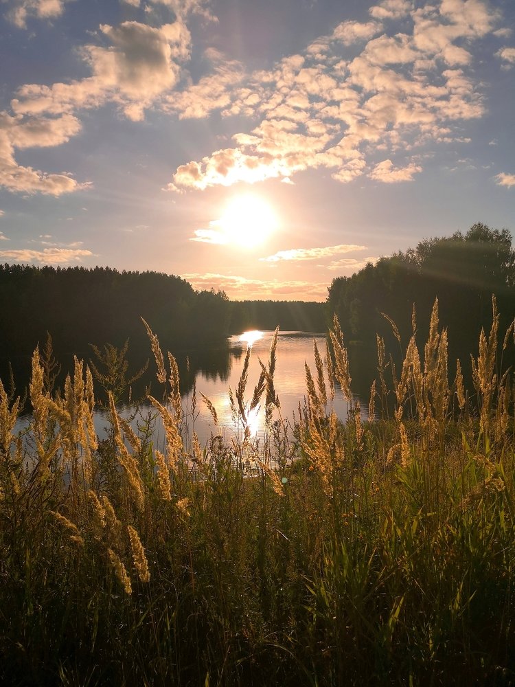 На закате в августе...