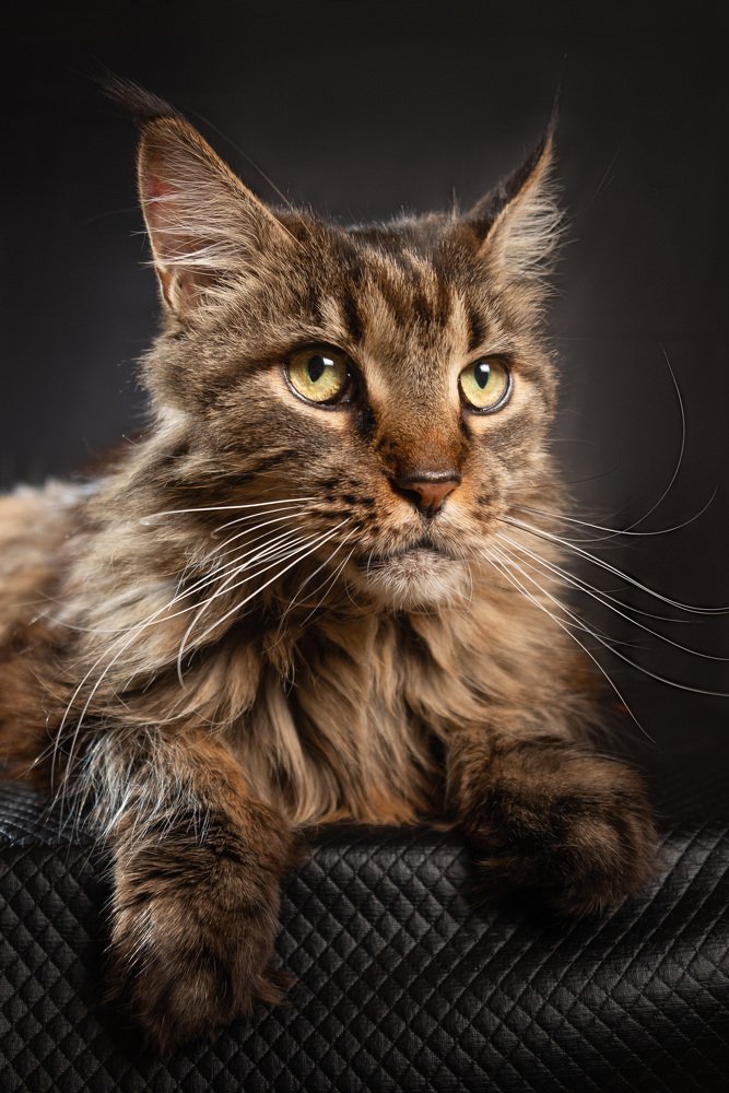 Photograph by Татьяна