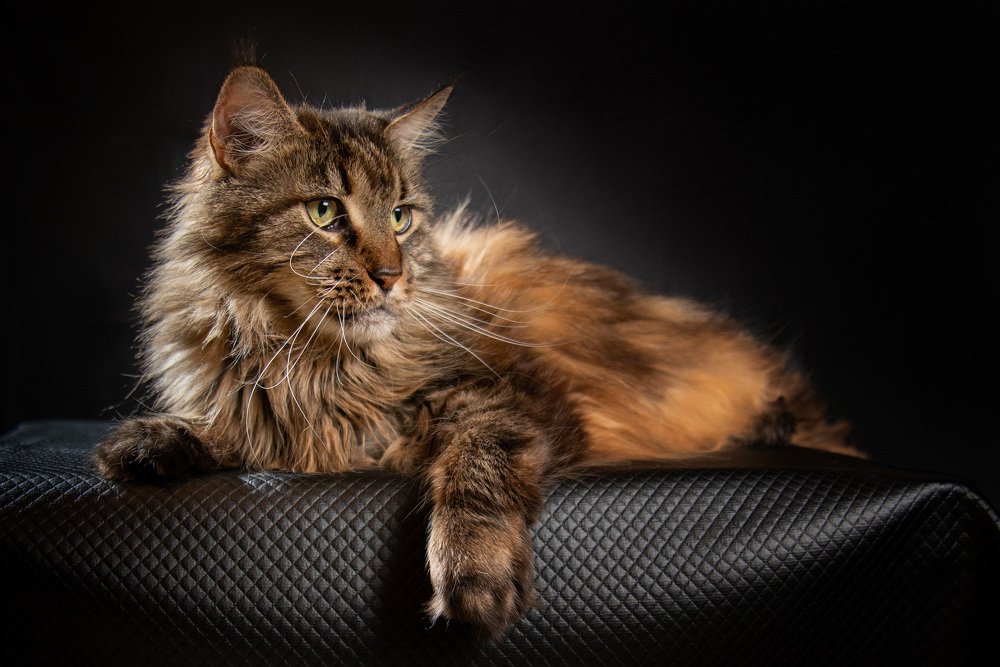 Photograph by Татьяна