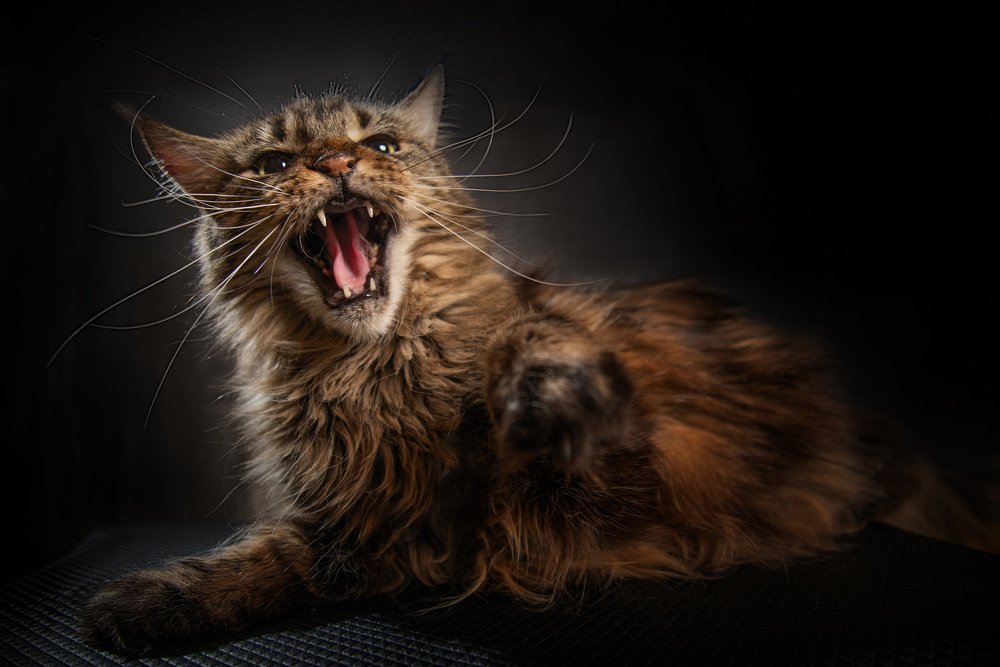 Photograph by Татьяна