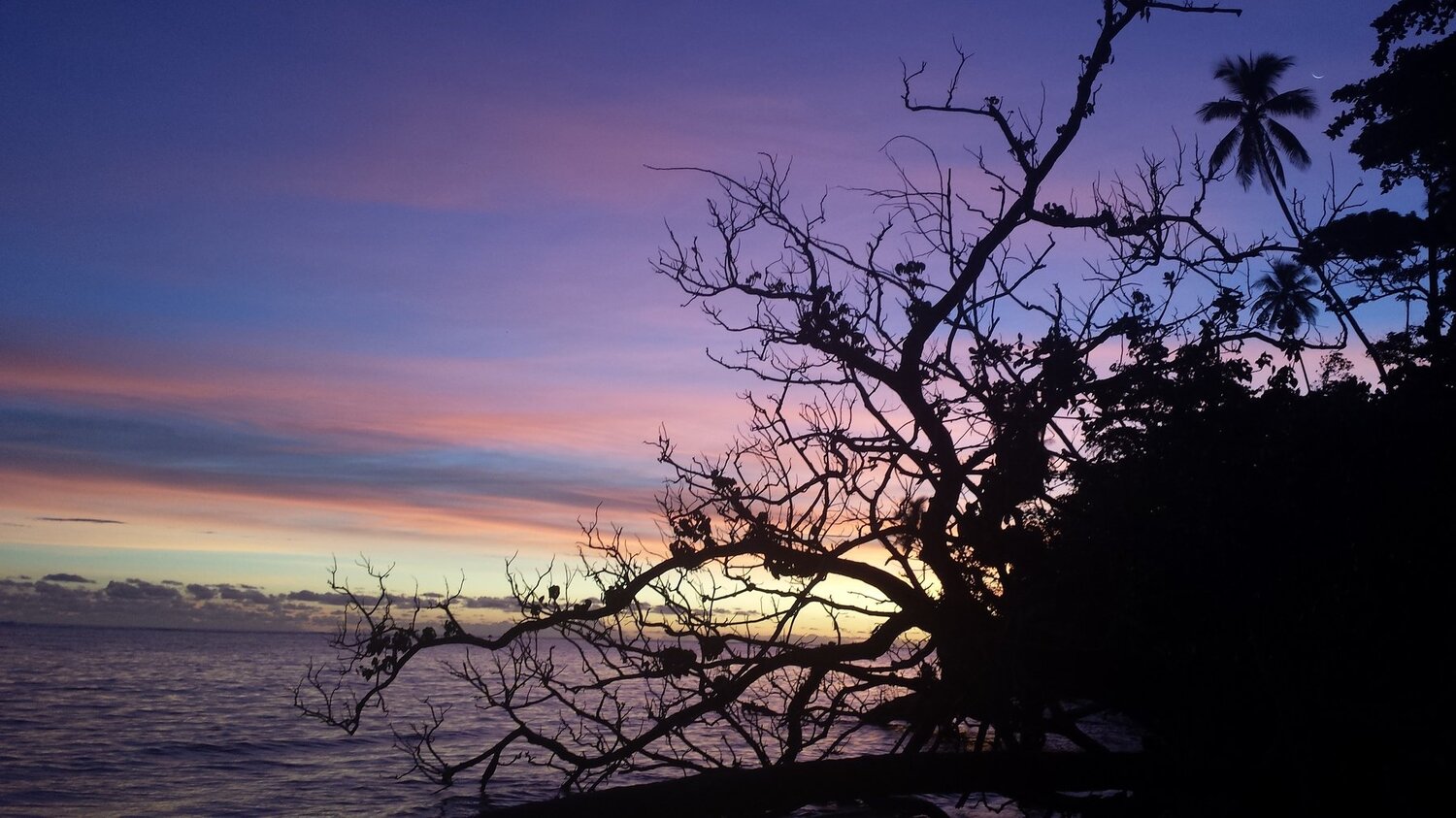 Photo #4979711