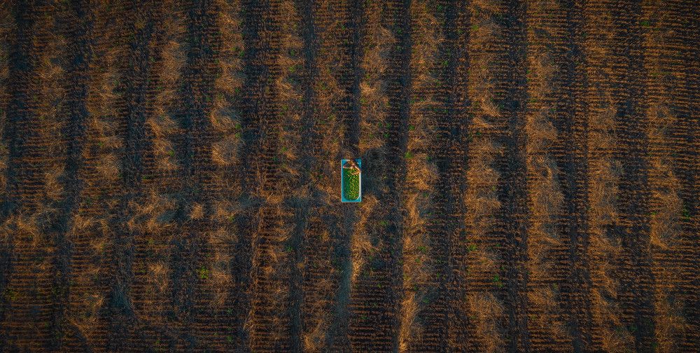 Photograph by Calibri Santa