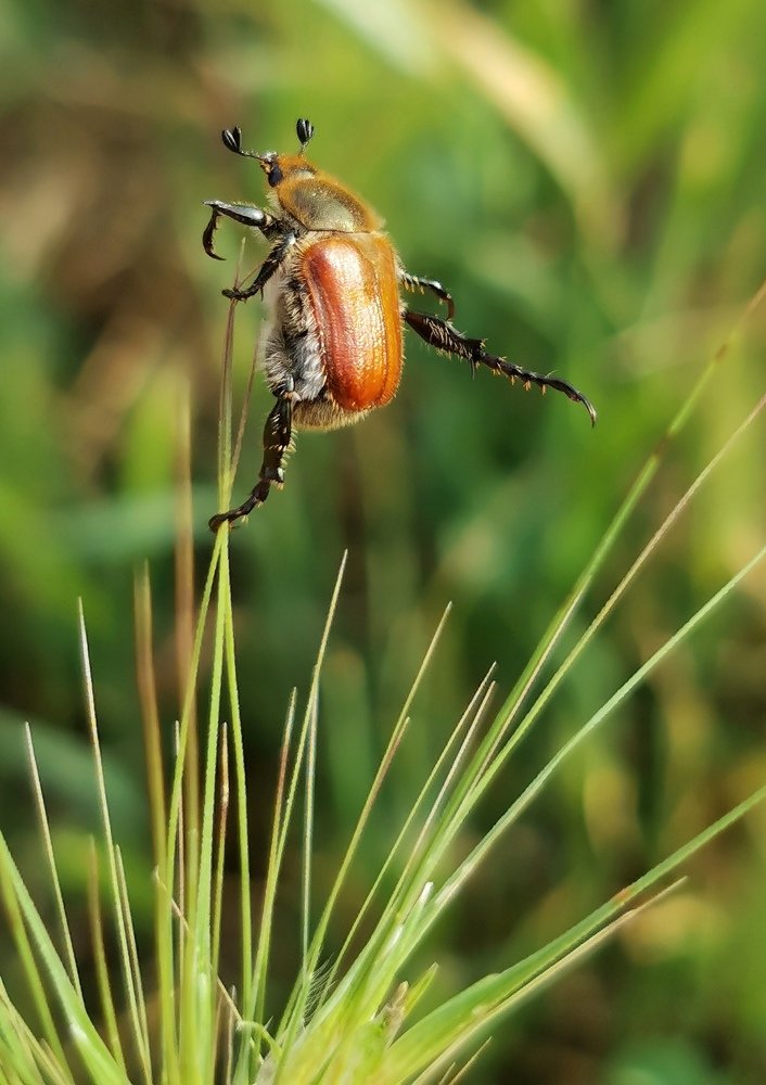 Photograph by Константин Бокарев