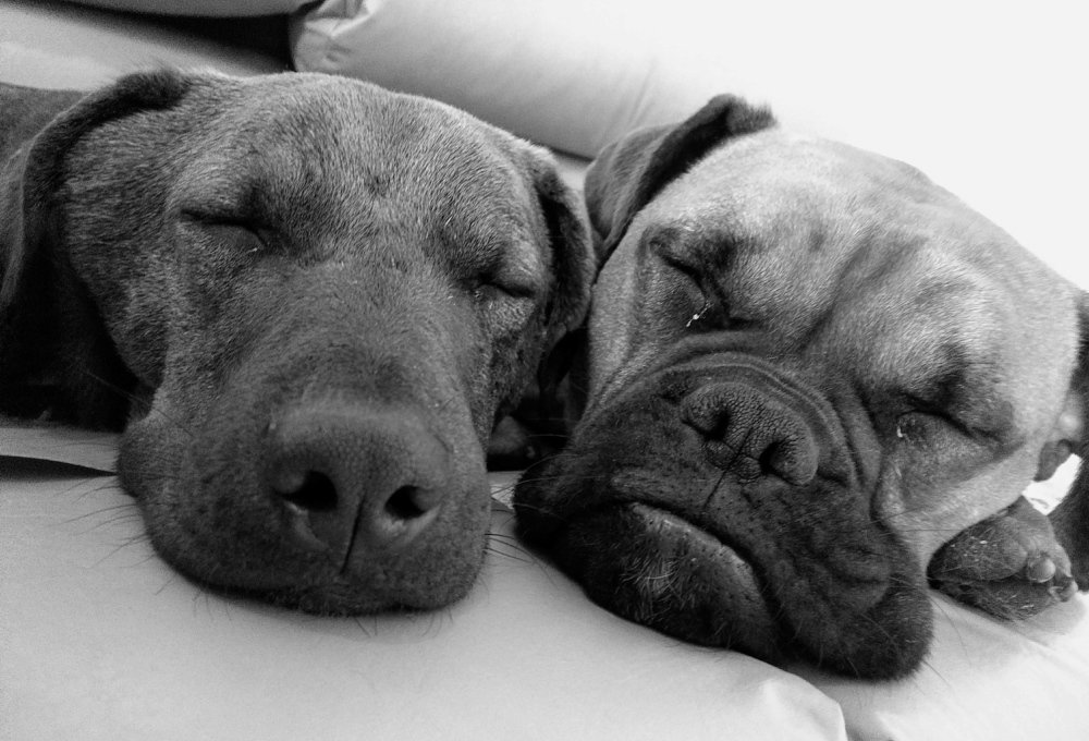 Photograph by Angie Vivanco