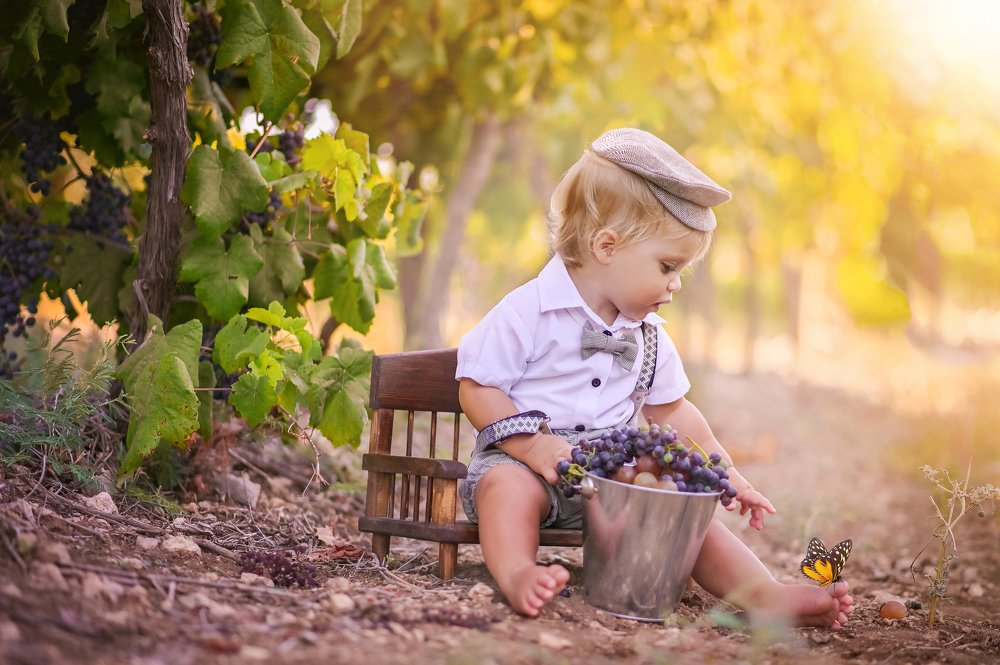 Photograph by Елена Бебеш