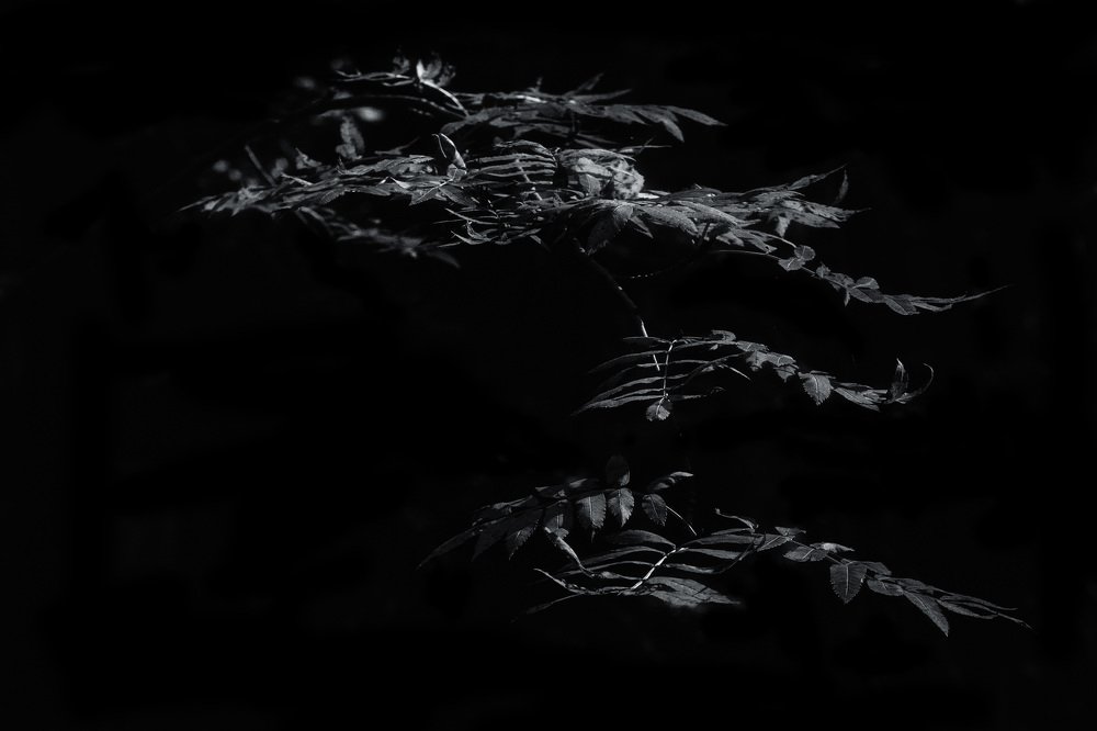 Photograph by Сергей Шмелев