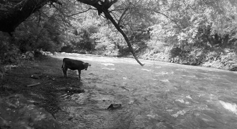 Photograph by Армине Унанян