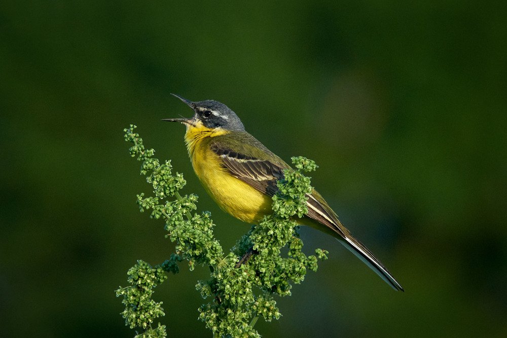 Photograph by Константин Усов