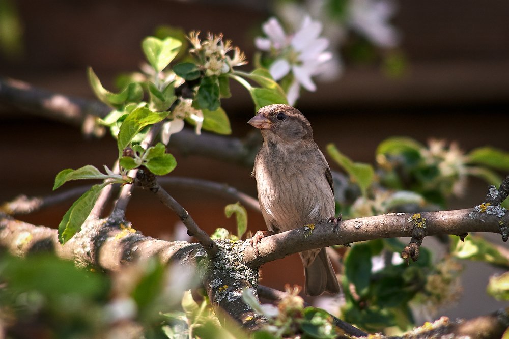 Photograph by Константин Усов