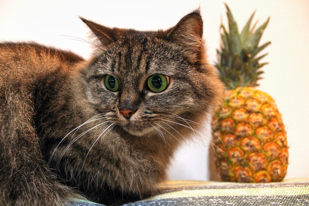 Photograph by Ольга Мельникова