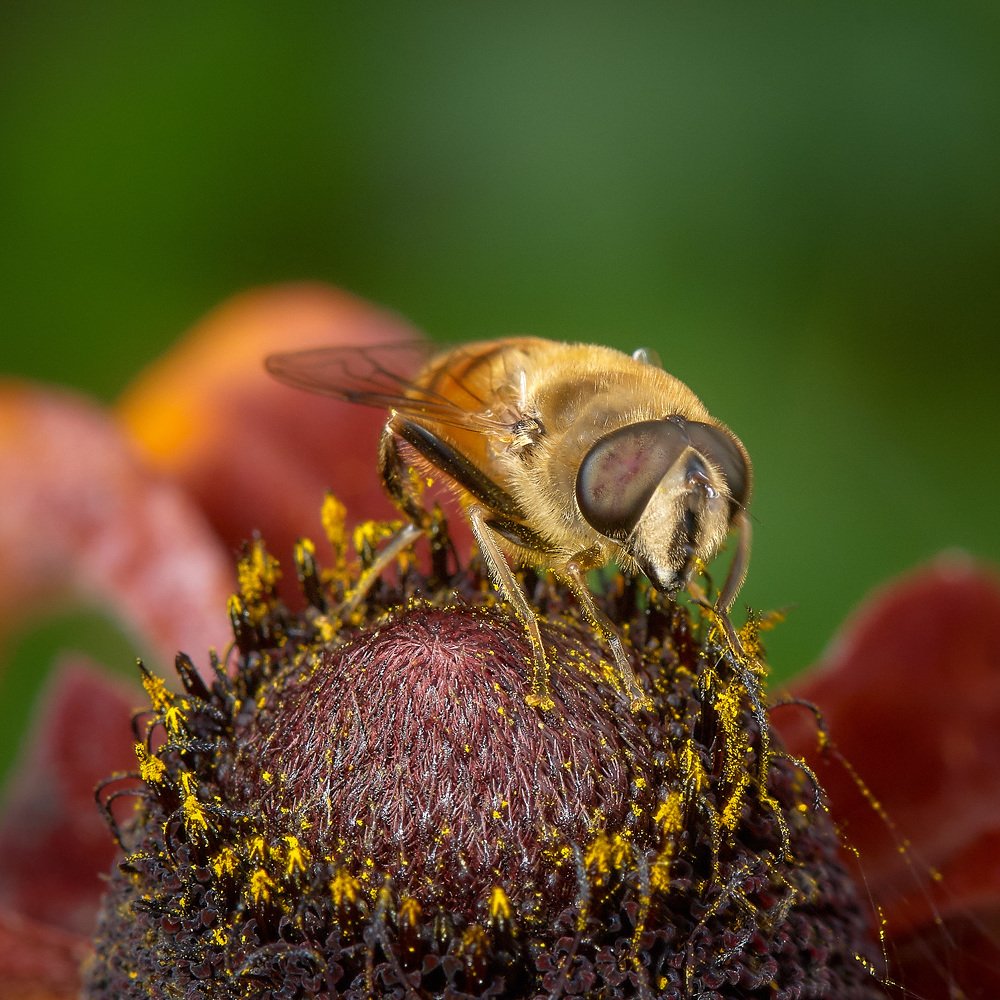 Photograph by Константин Усов