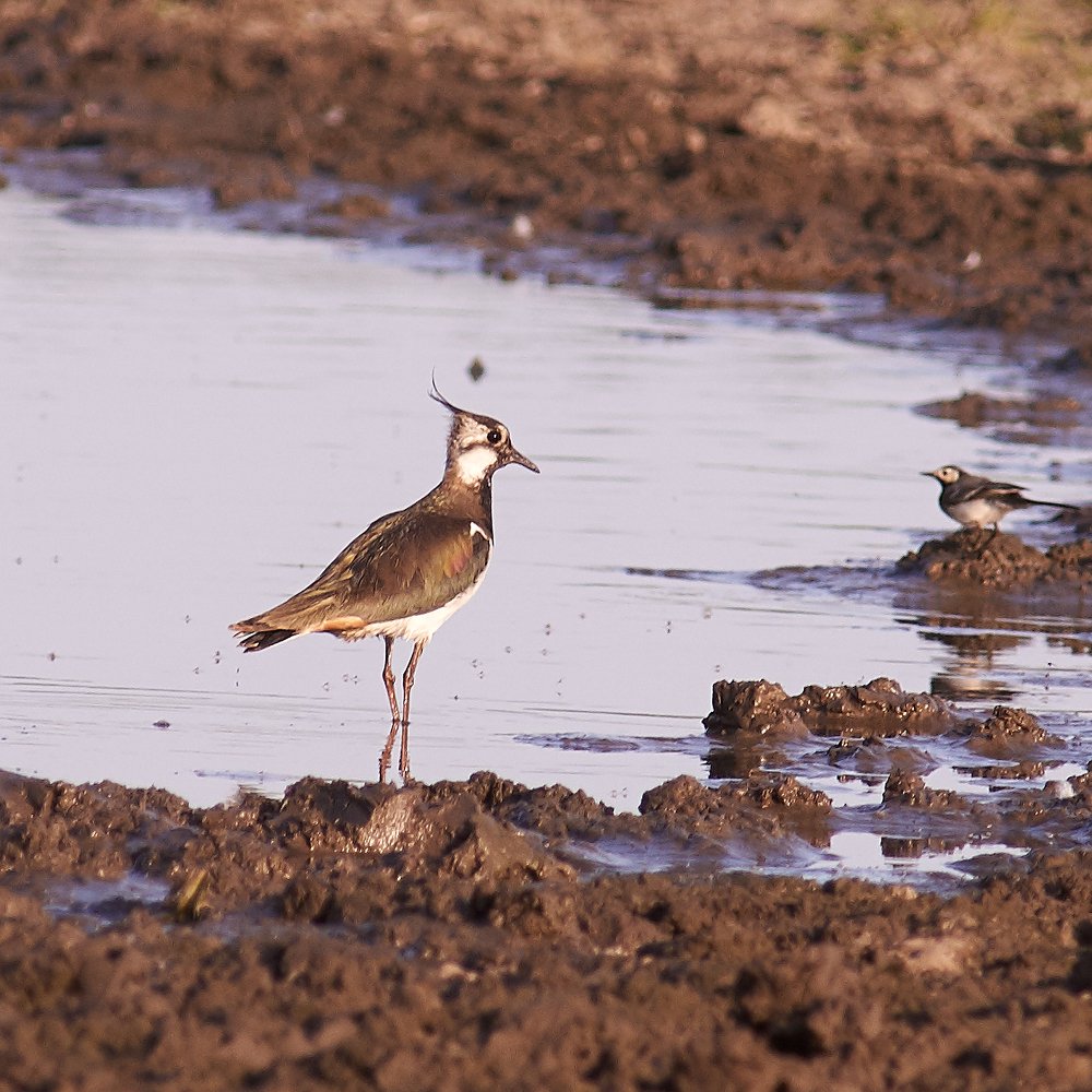 Photograph by Константин Усов
