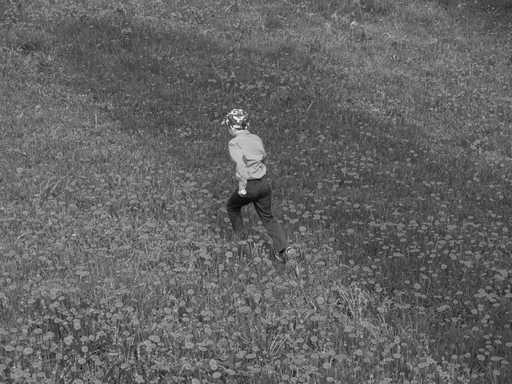 Photograph by ЭЛЬМИРА  ИСМАИЛОВА