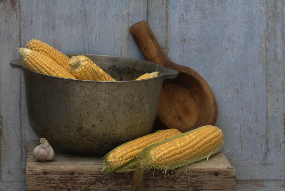 Photograph by Татьяна Панчешная