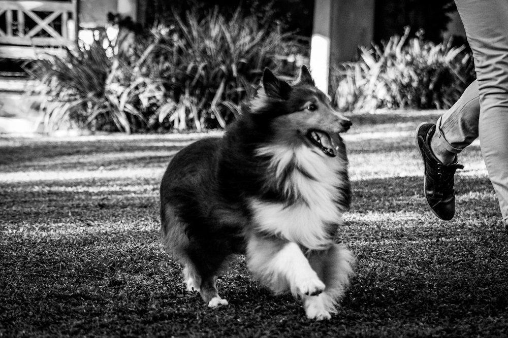 Feliz com meu melhor amigo.