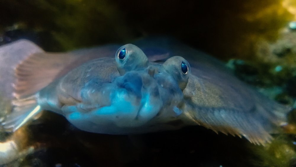 Photograph by Филиппов Олег