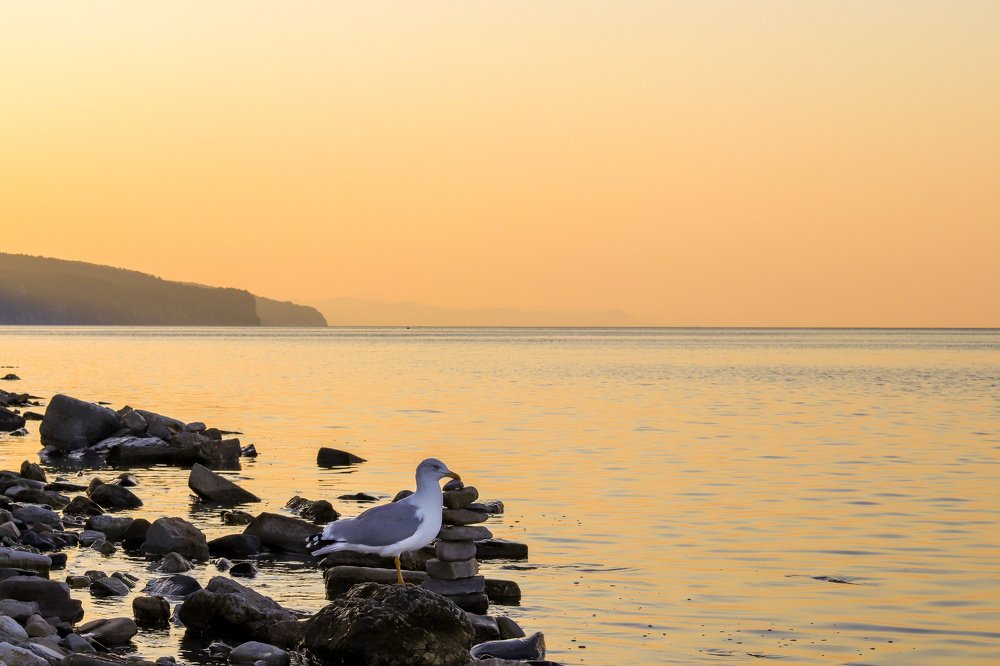 Photograph by Евгений Степанов