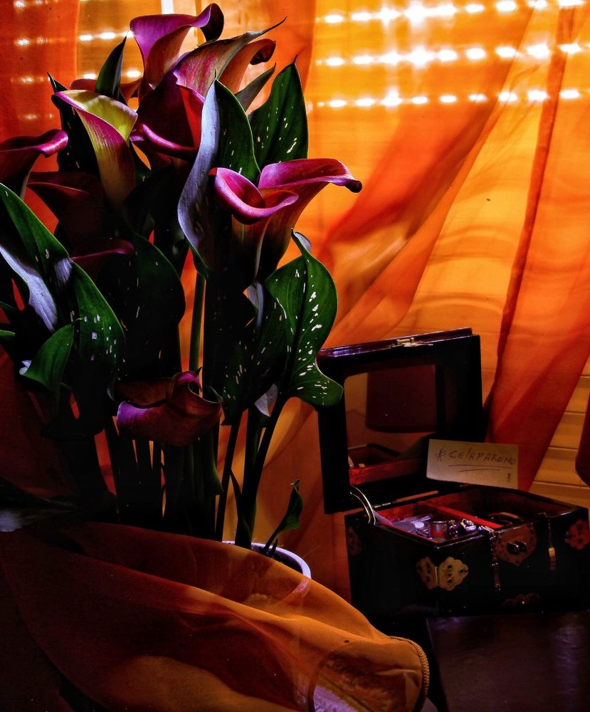 Photograph by Salvatore Palumbo