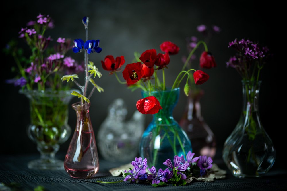 Фотография автора Инна Меркиш